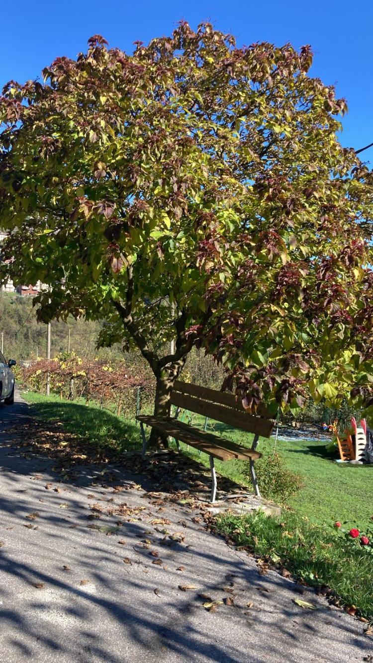 Cascina Uertigher Gorno Buitenkant foto