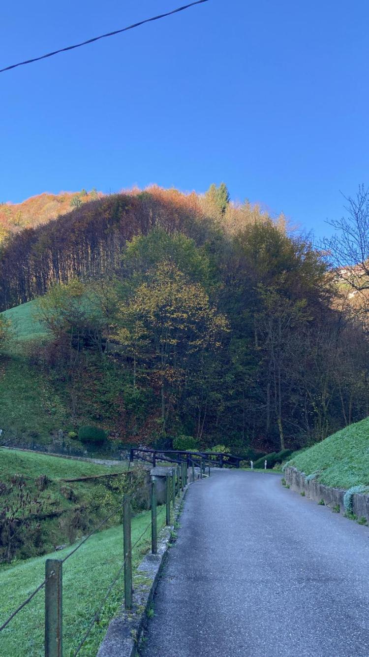 Cascina Uertigher Gorno Buitenkant foto